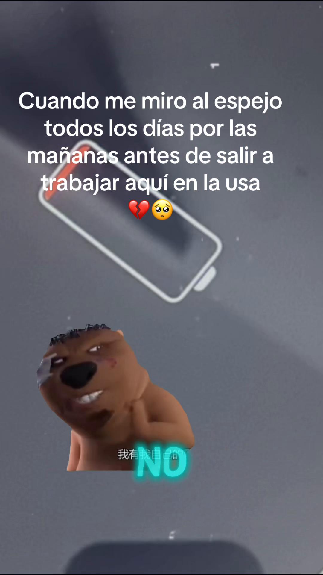 @gavilan007