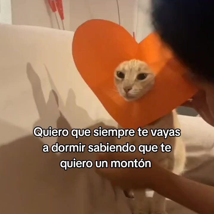 @goodvibessxd
