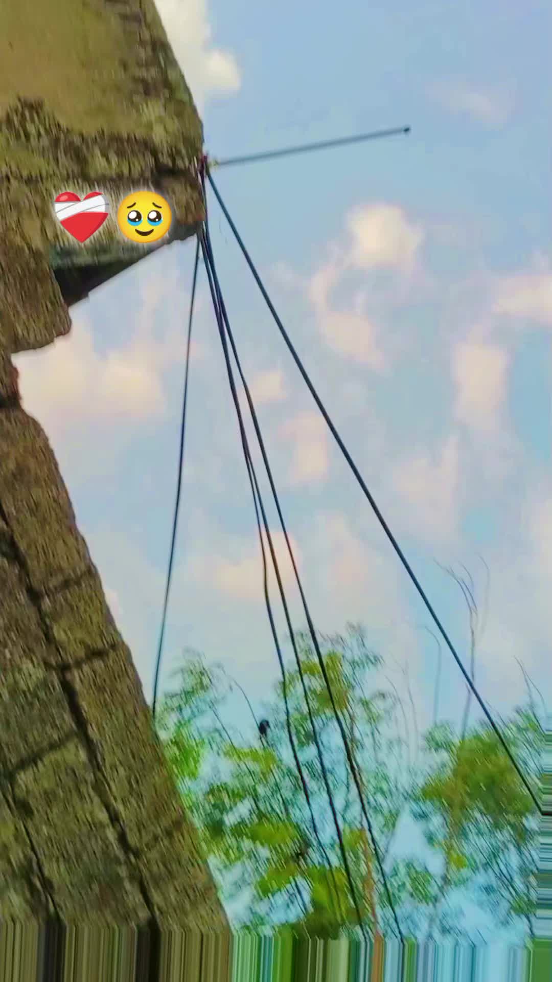 @Aisha🫶