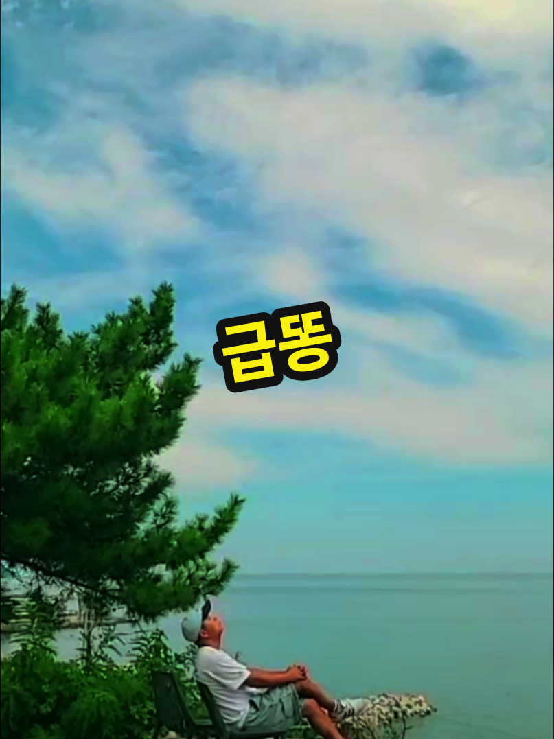 @🌐herodonghae🌐(히어로동해)
