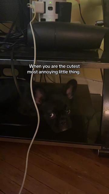 @Ouswaa