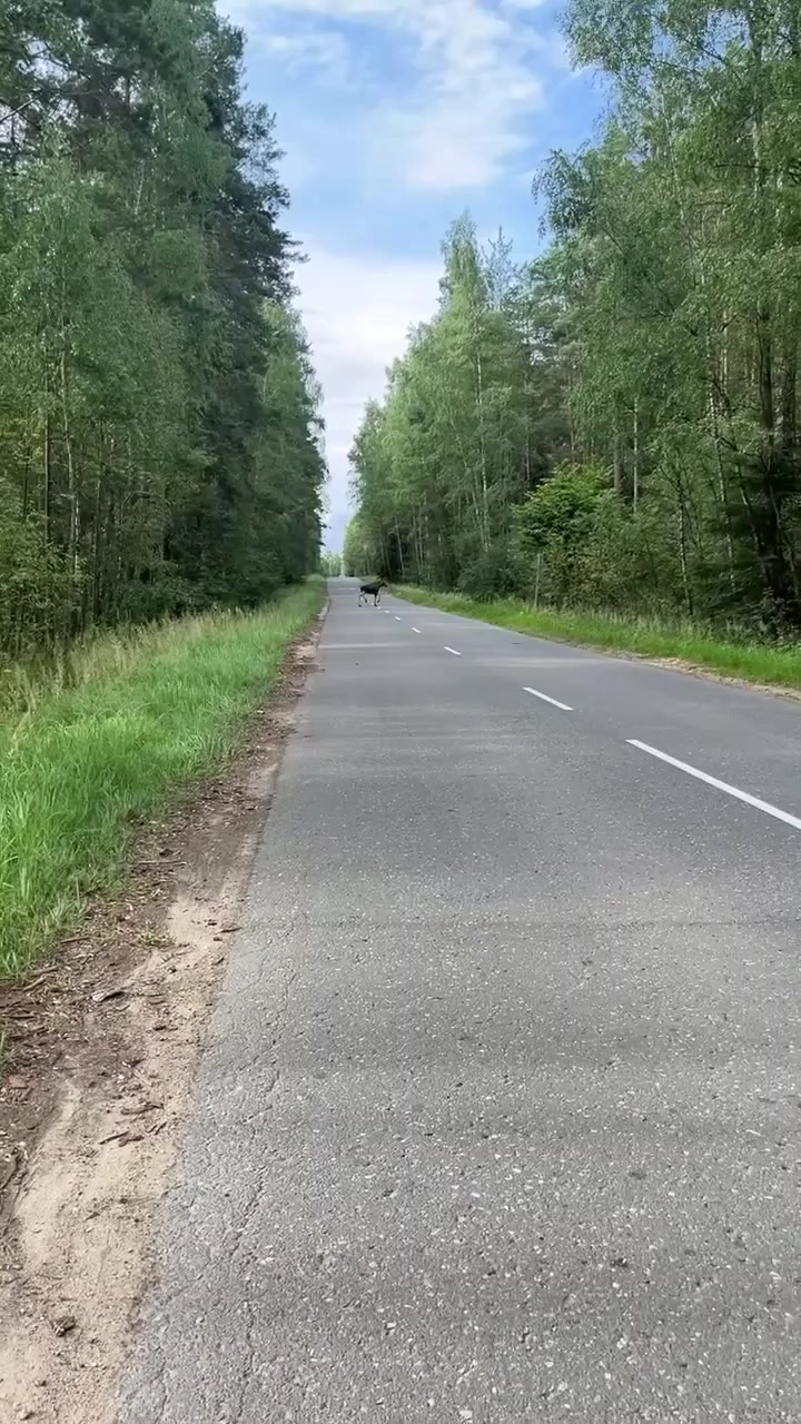 @MyBorisov