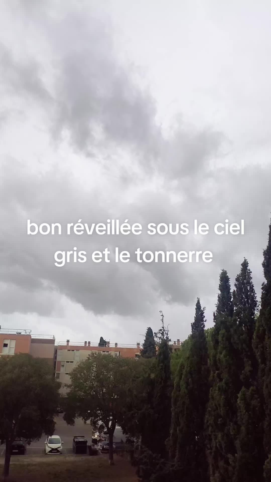 @bellastef