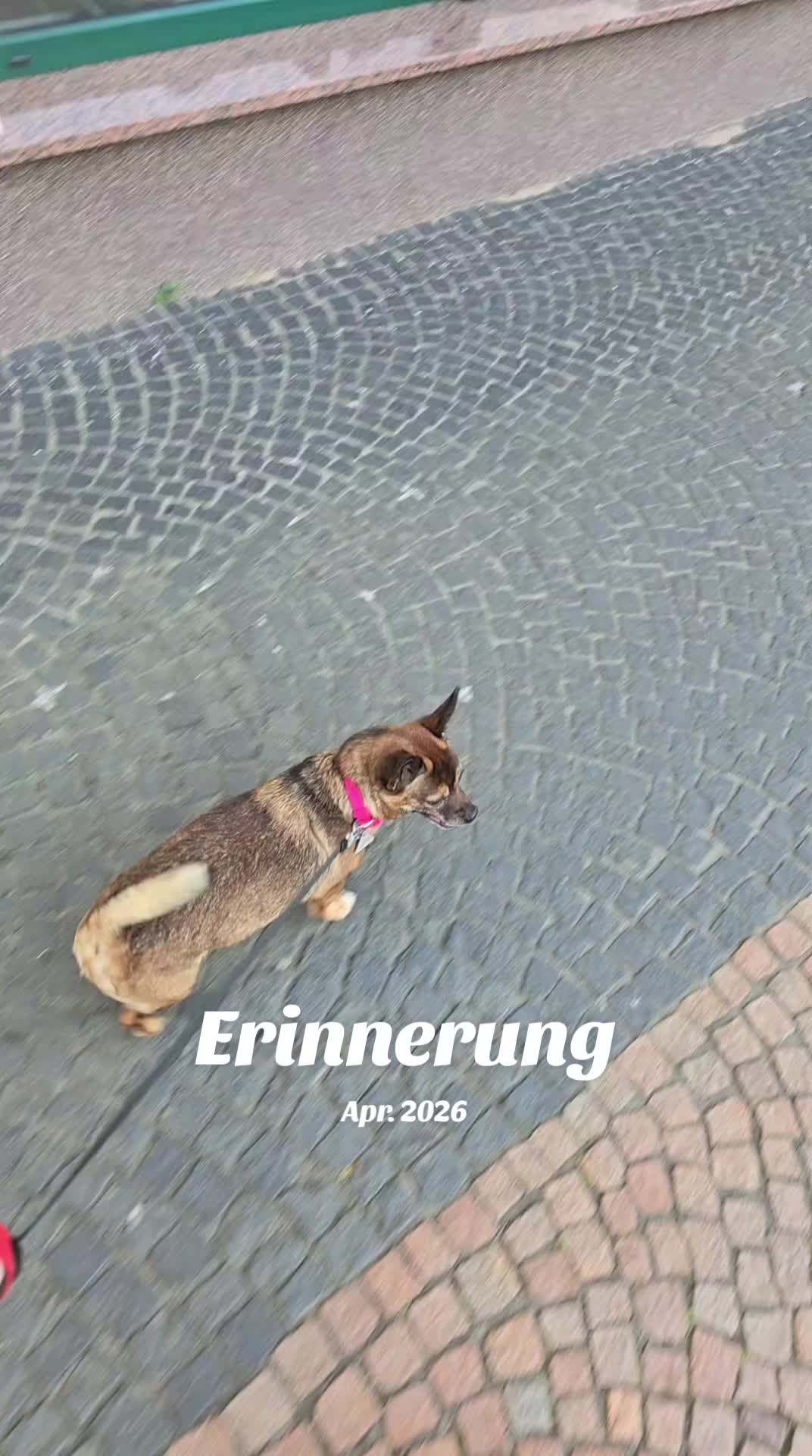 @lauraullmann0