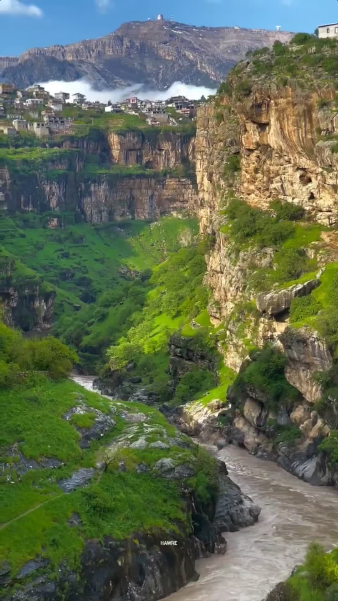 @مەلیسا🪐❤️