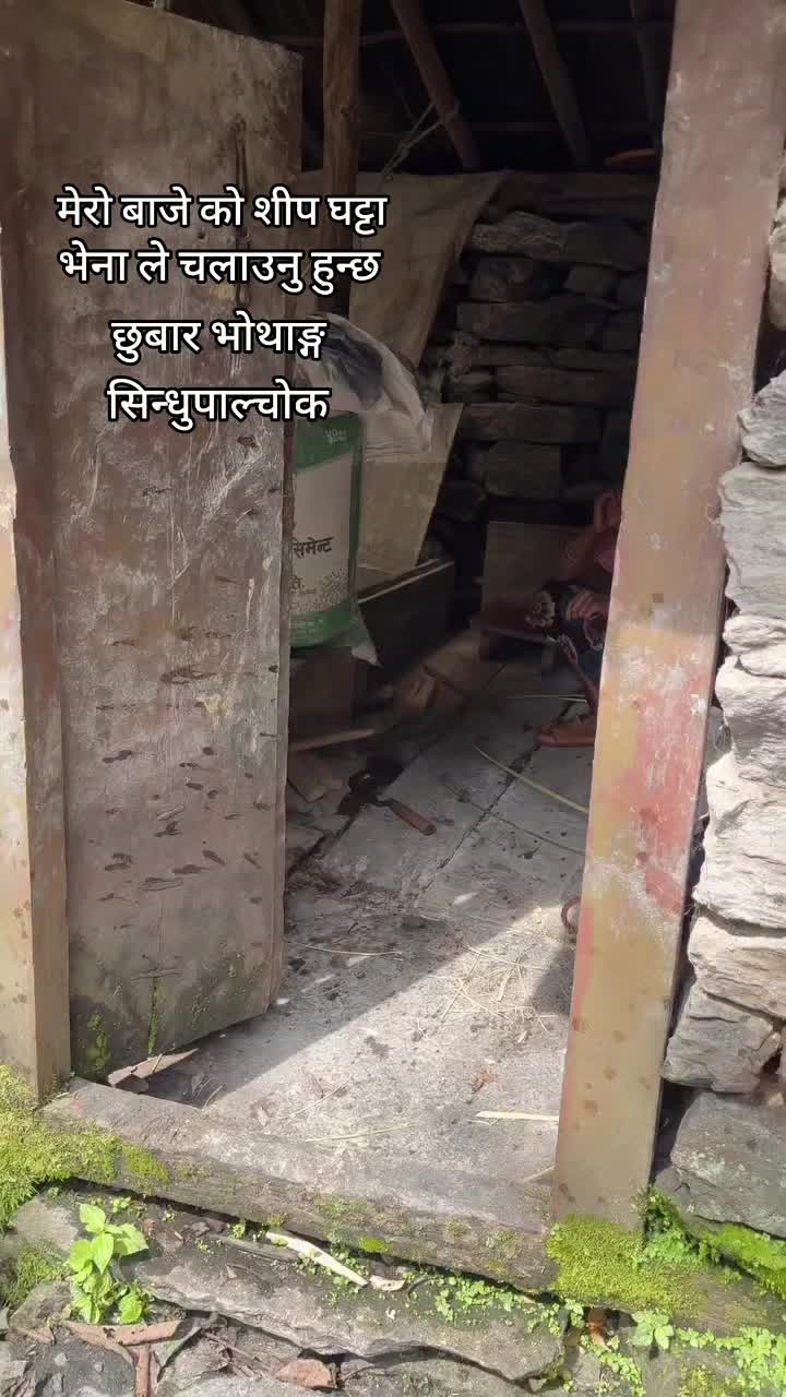 @Gore Tamang (पाख्रिन)