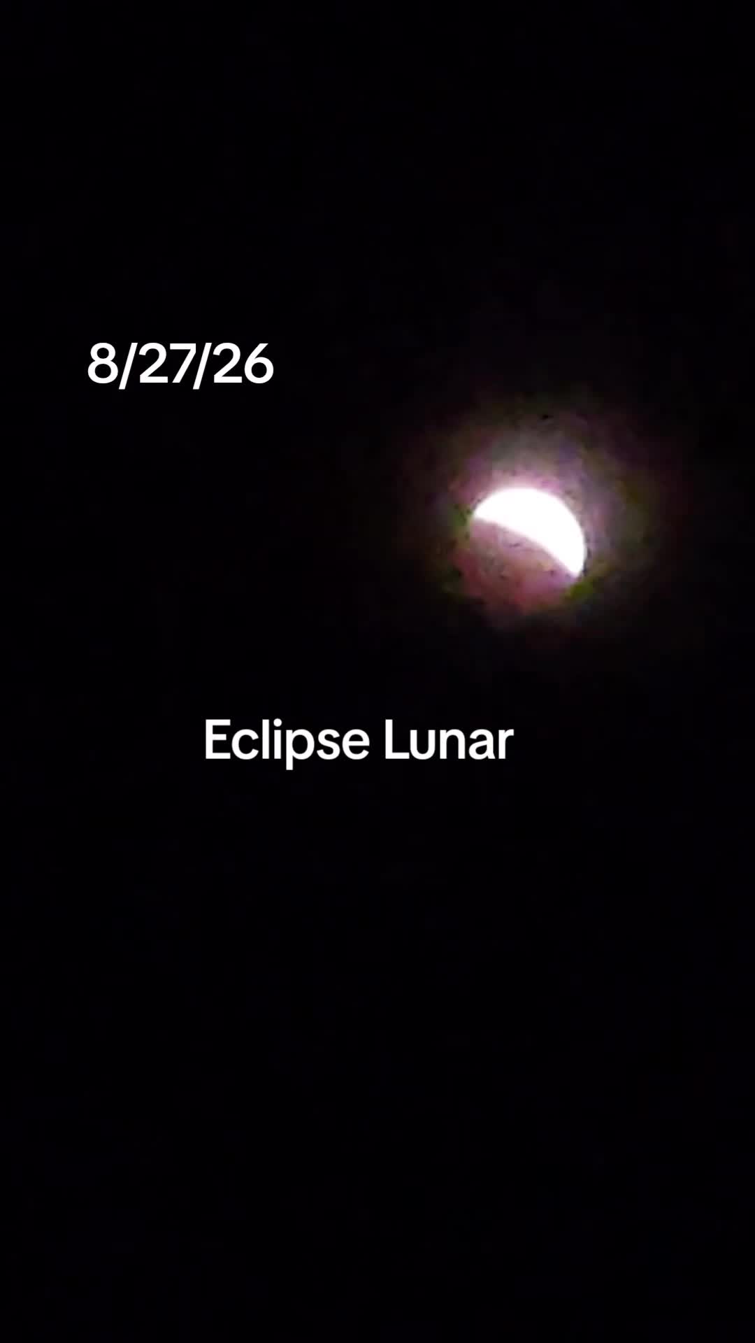 @vickytorres