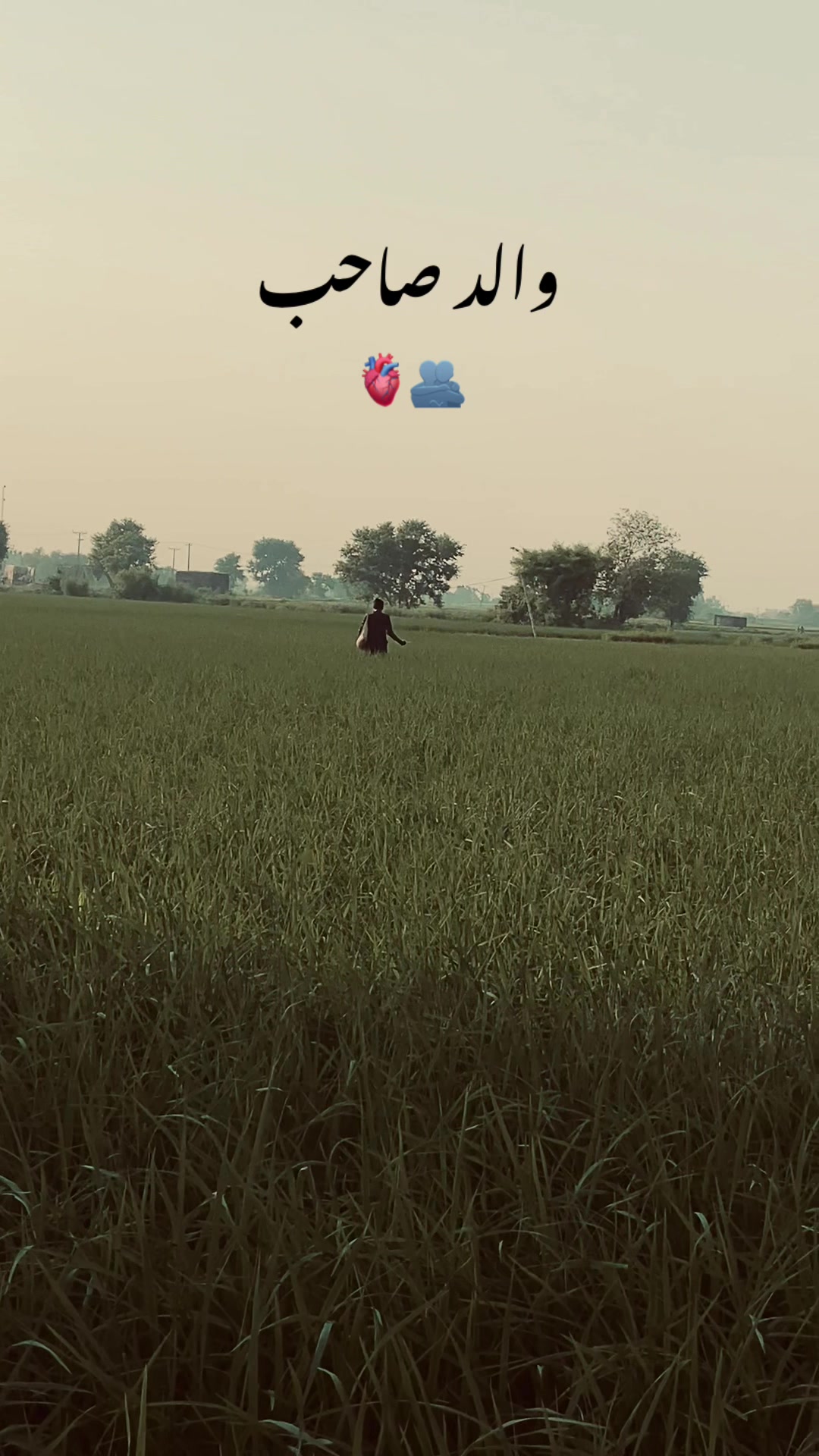 @🍁پنجاب_تے_پنجابی🍁