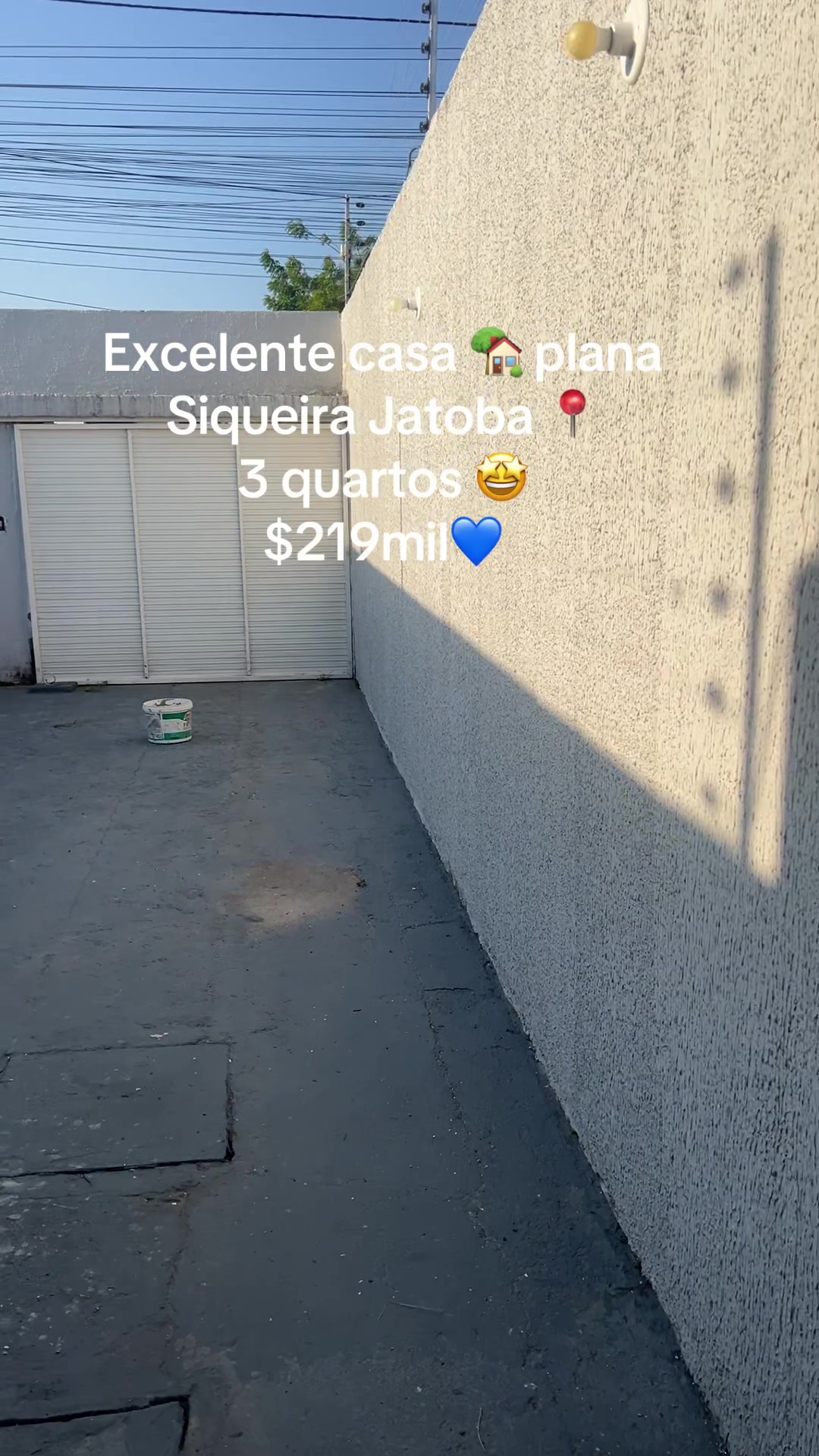 @Kelly Mesquita