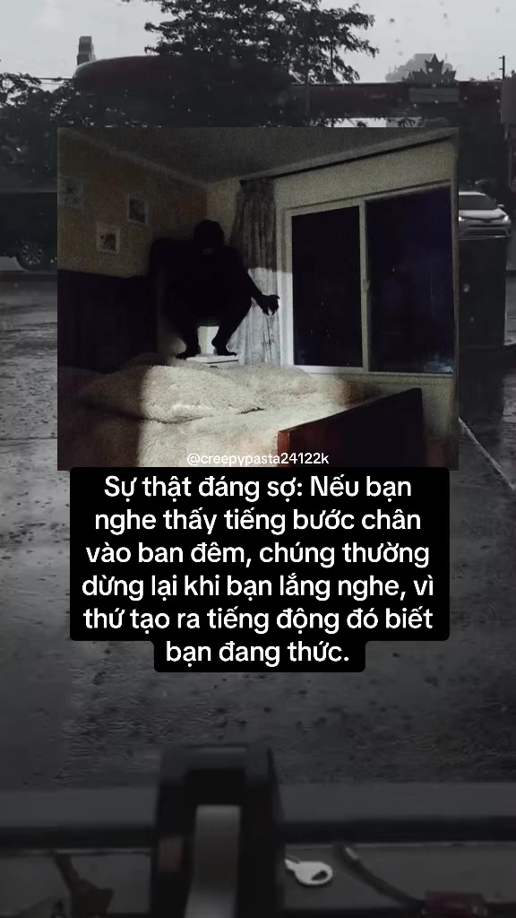 @𝐂𝐎𝐃𝐄𝐗