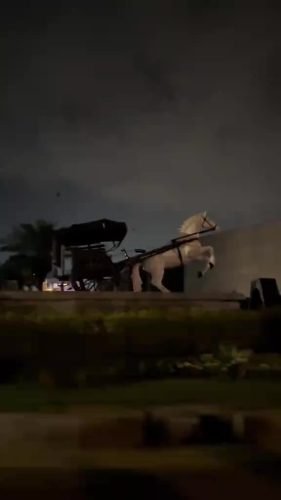 @༺ᴍᴀ͢͢͢ʟɪᴋ༻🌙