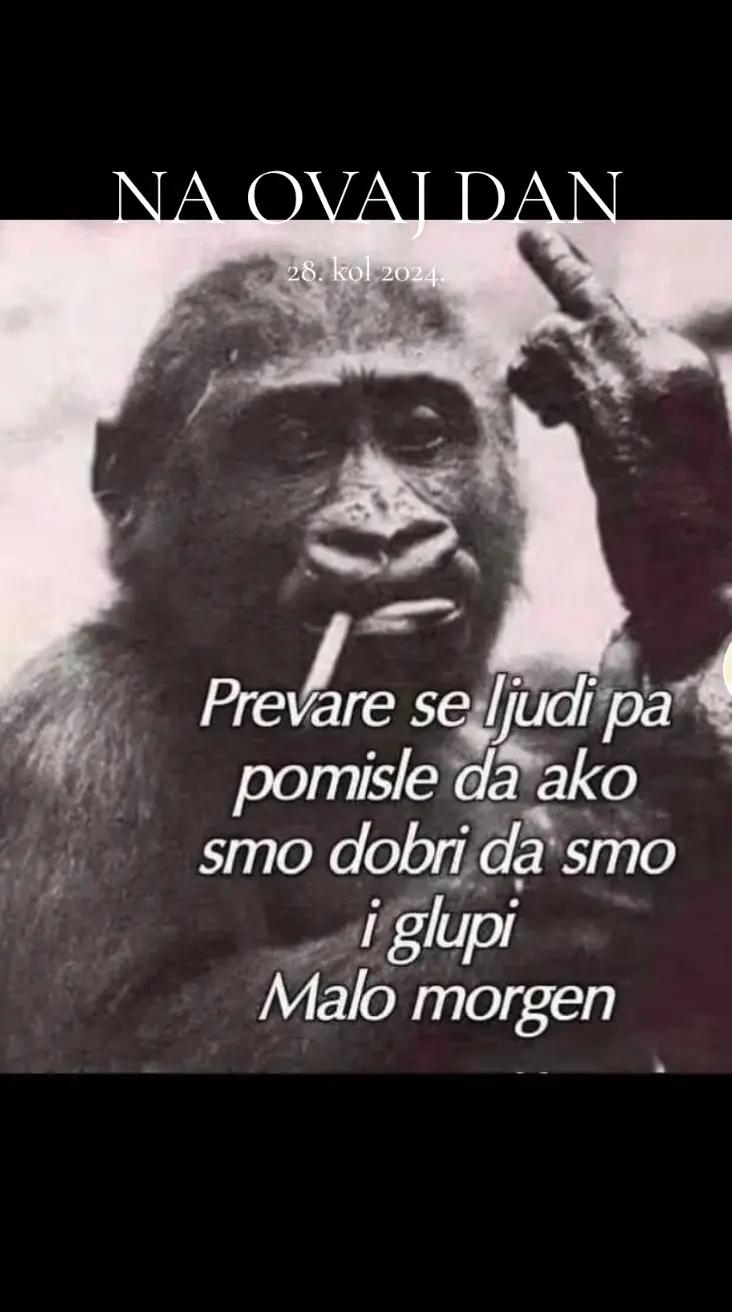 @Elvedin14