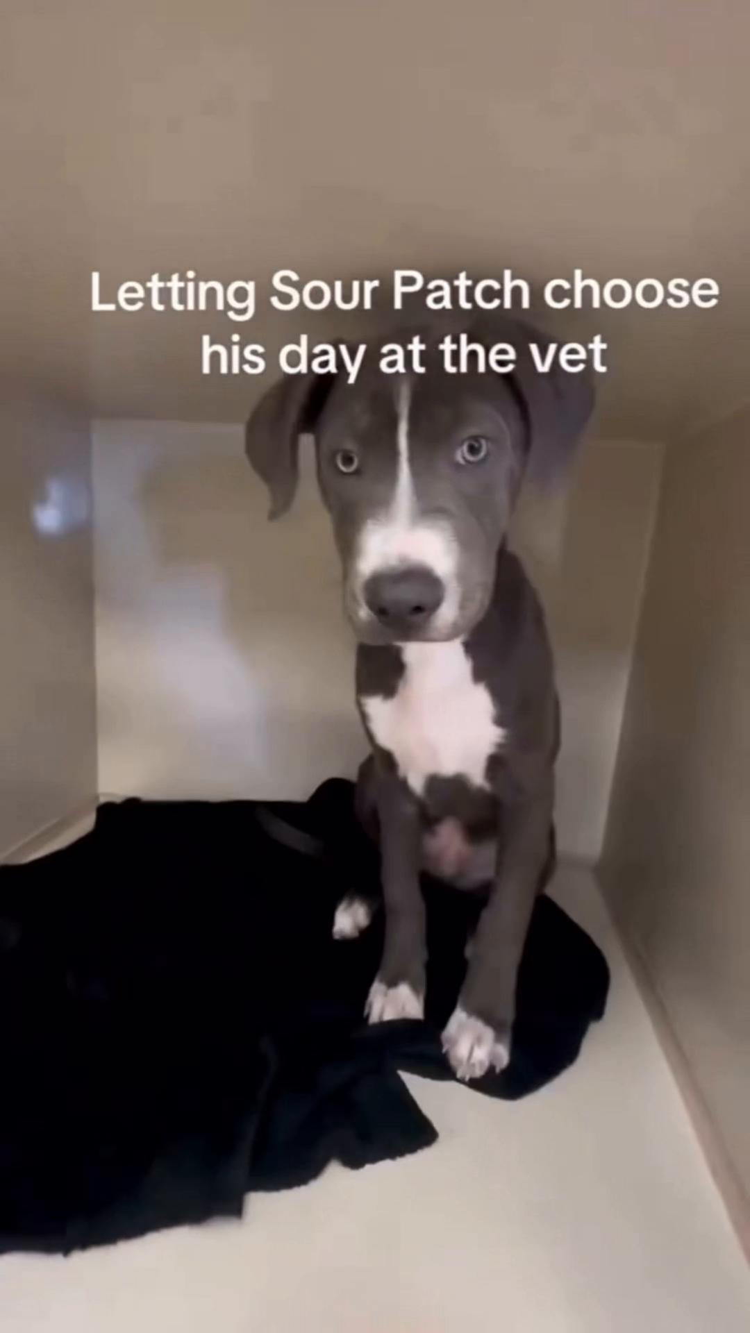 @CertifiedYapper