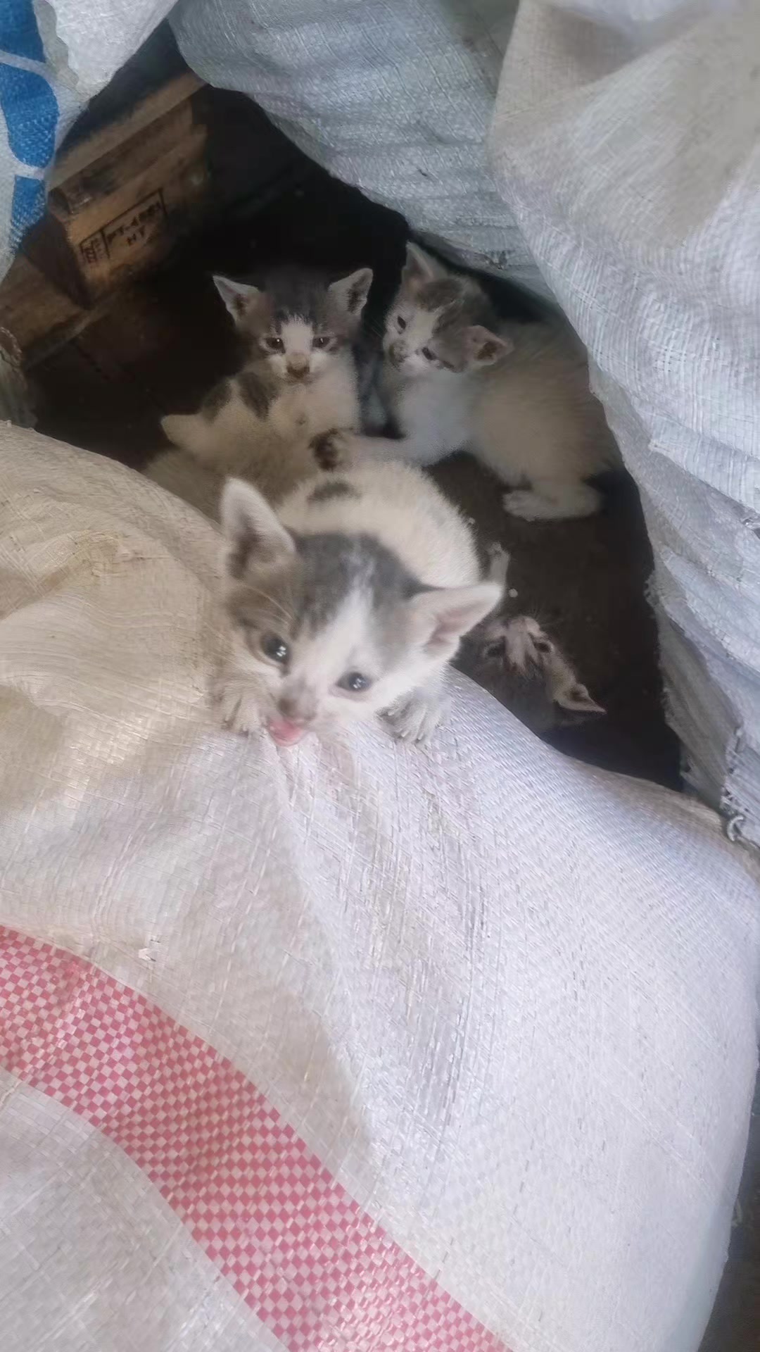 @Ahmet34_68