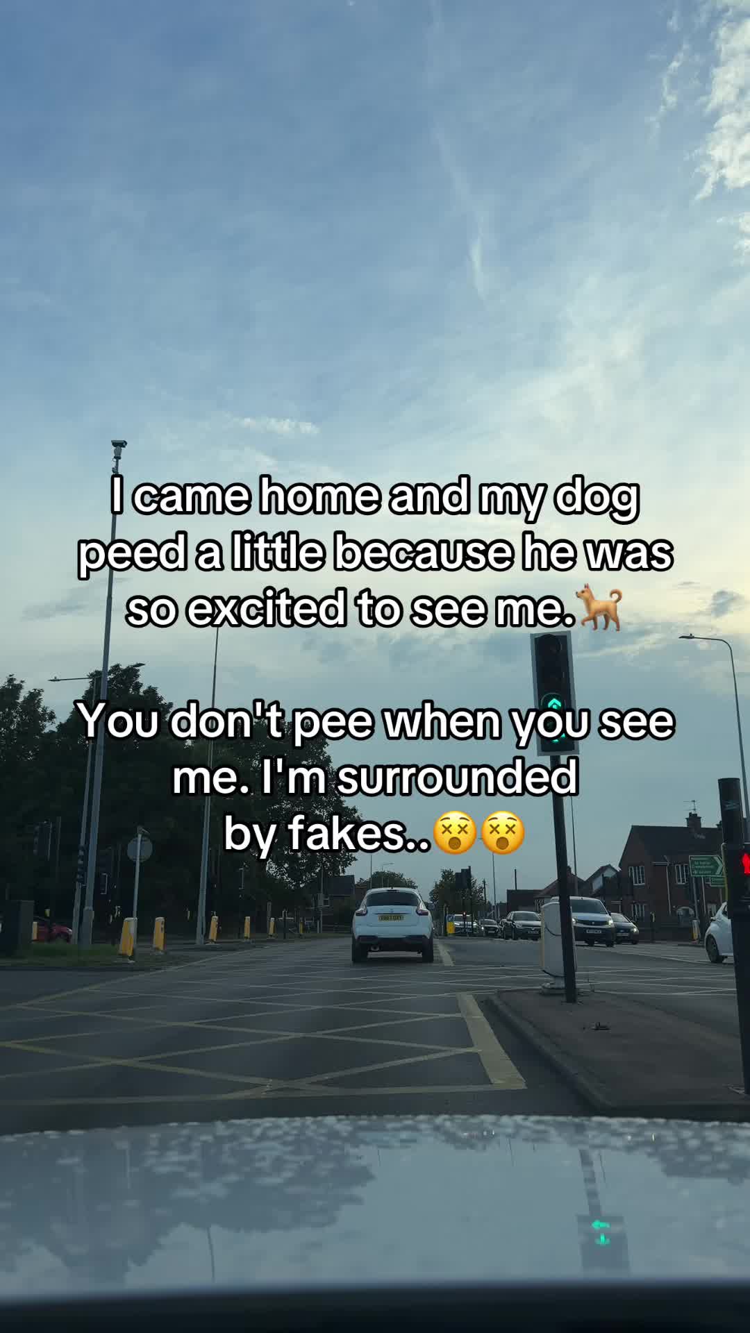 @LifeContent1