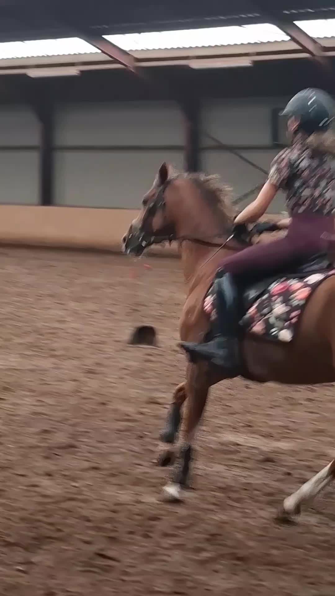 @horses.by.Britt:)