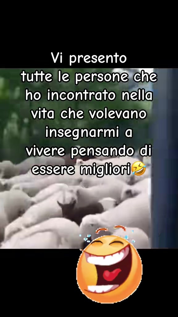@💫Enzo💫