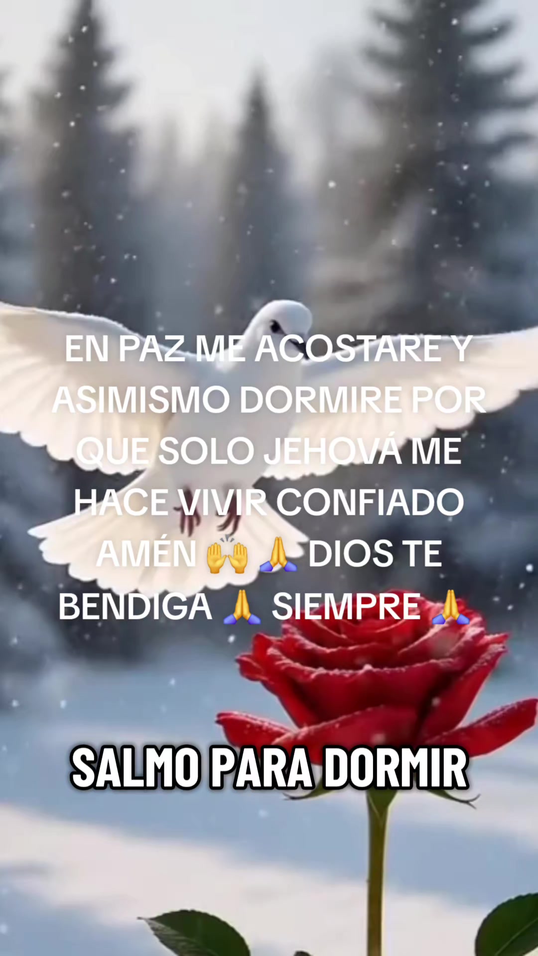 @Iliana Guerrier