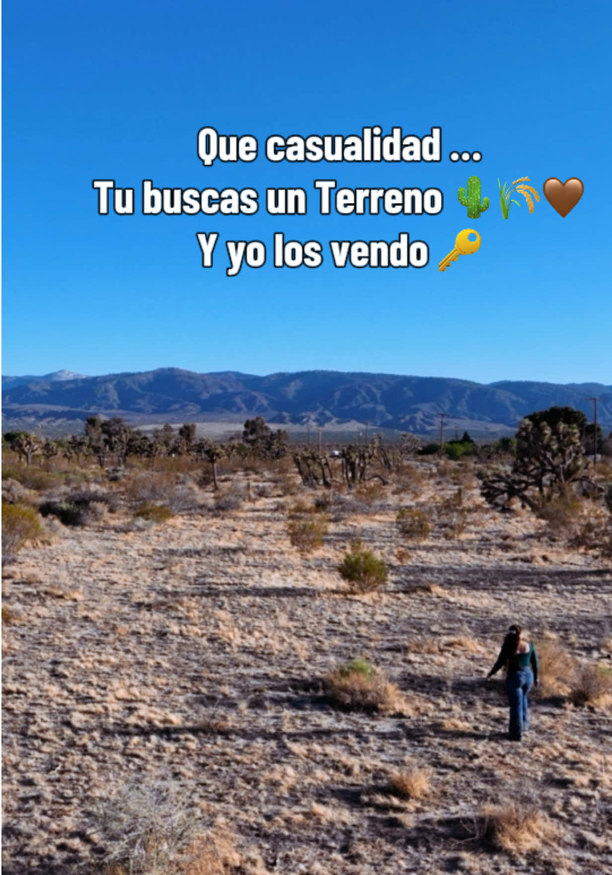 @Erika Valdovinos