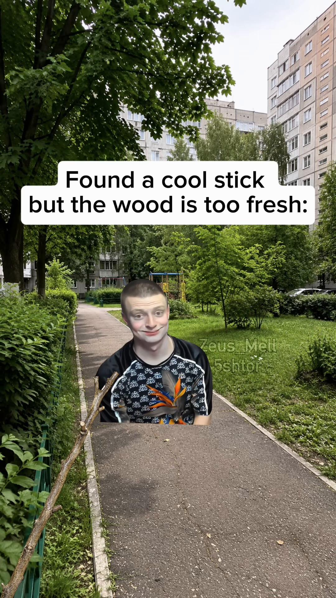 @ZeusMell