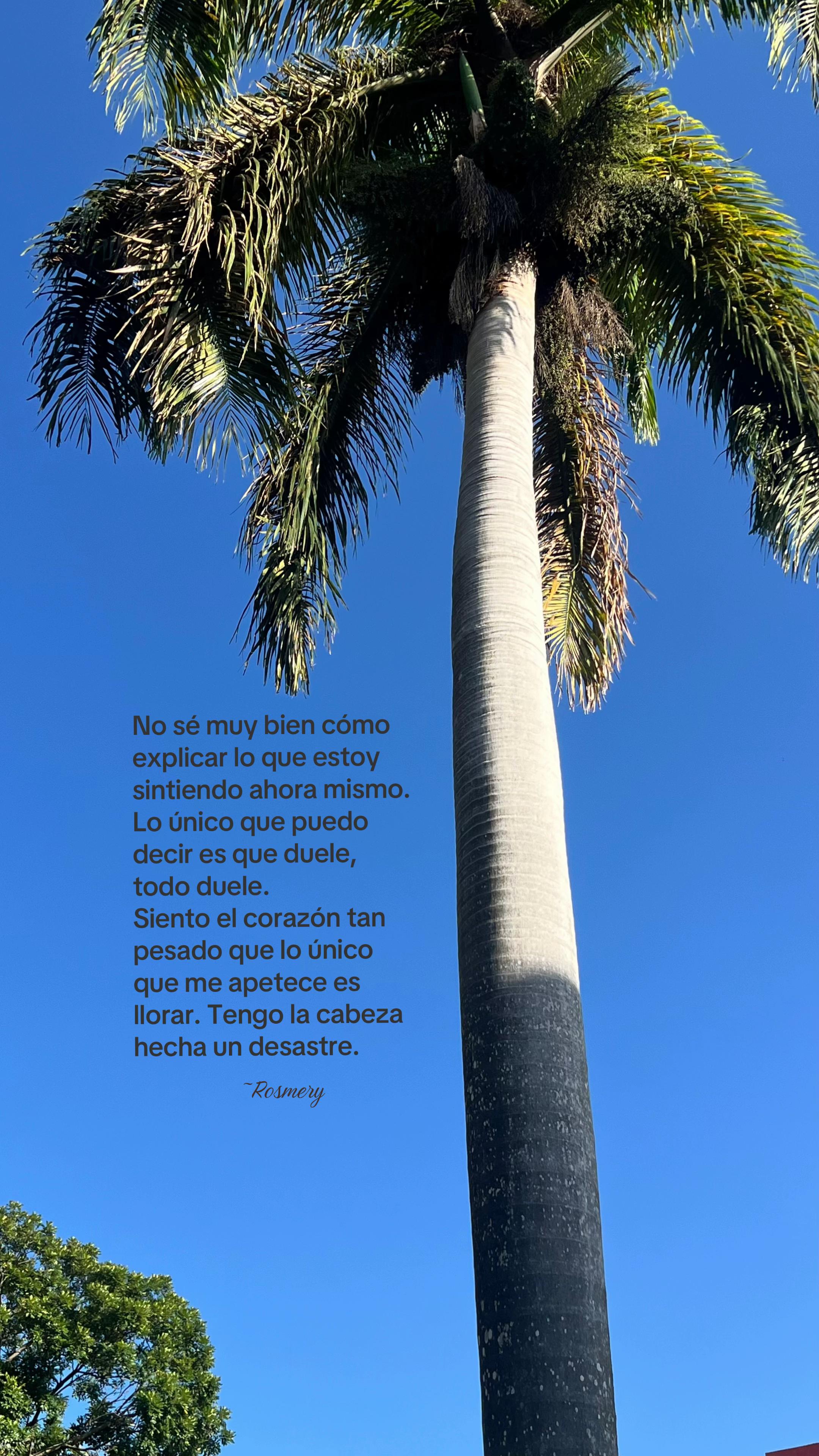 @Rosmery Alt. Diaz 🌷