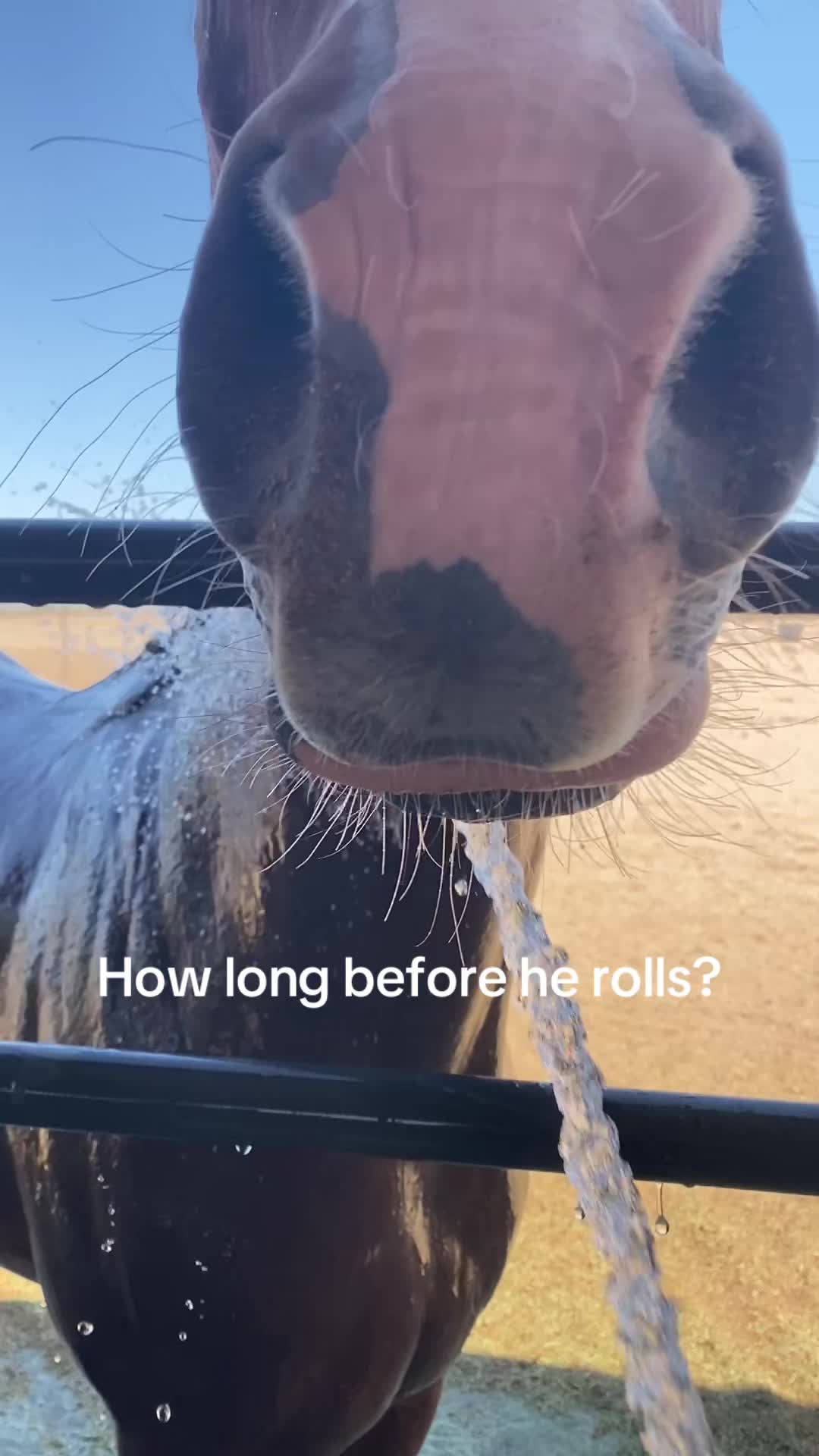 @Allthebaymares