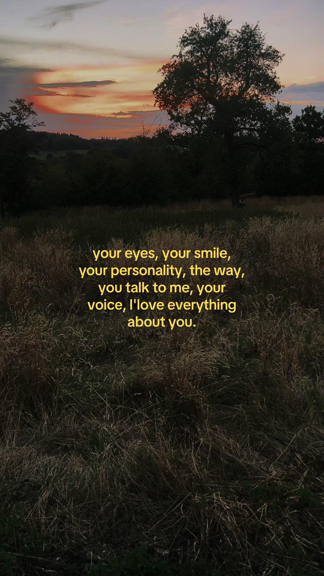 @✧