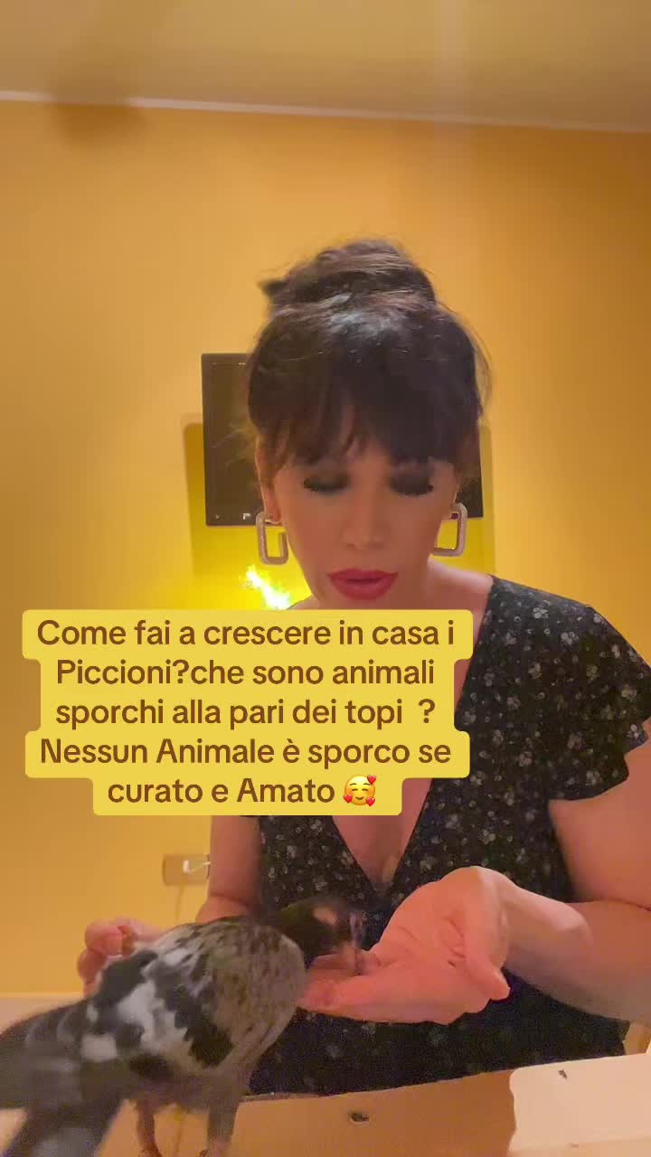 @ErikaGalassi