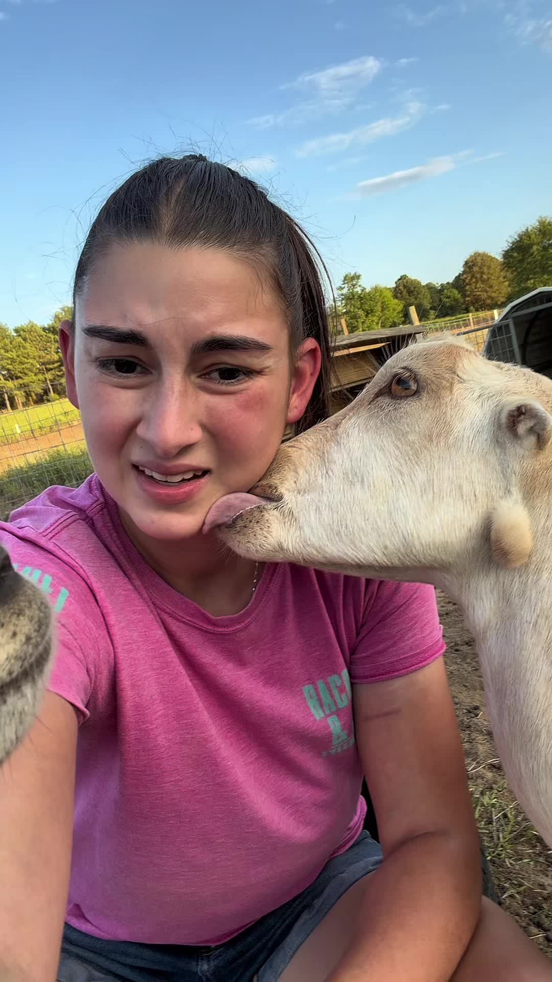 @Heart & Hoof Homestead