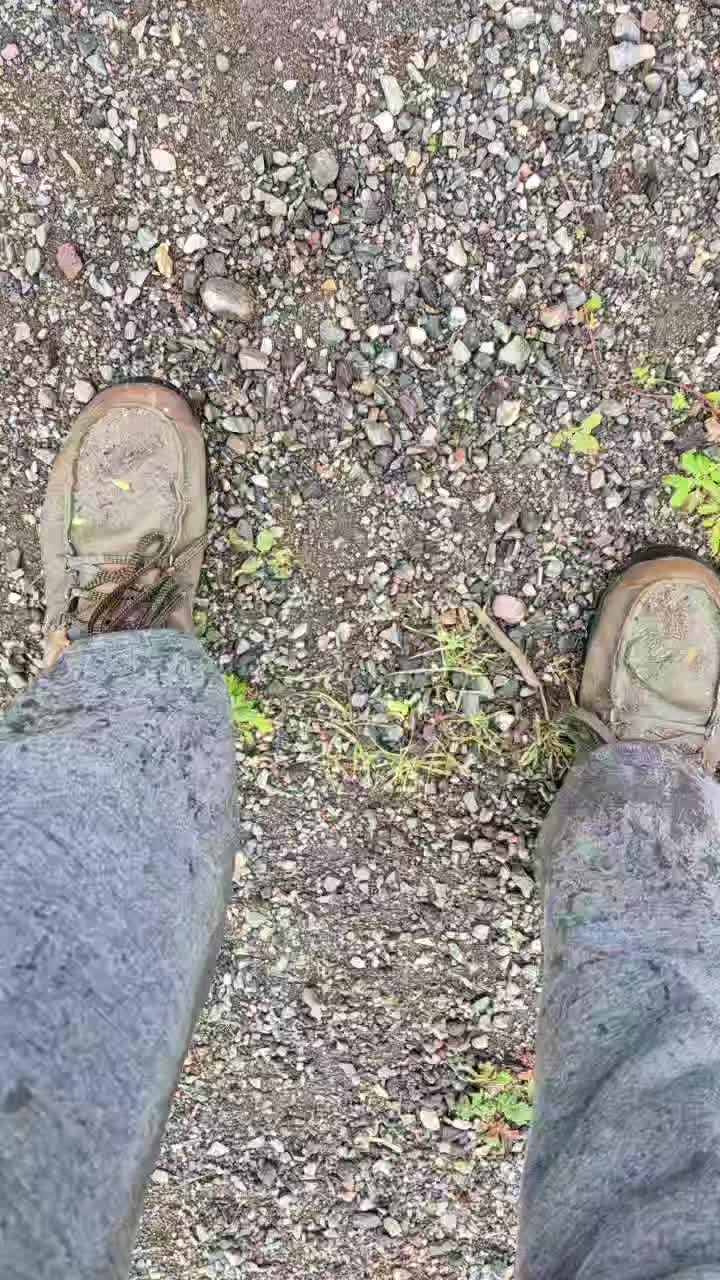 @desolatecold