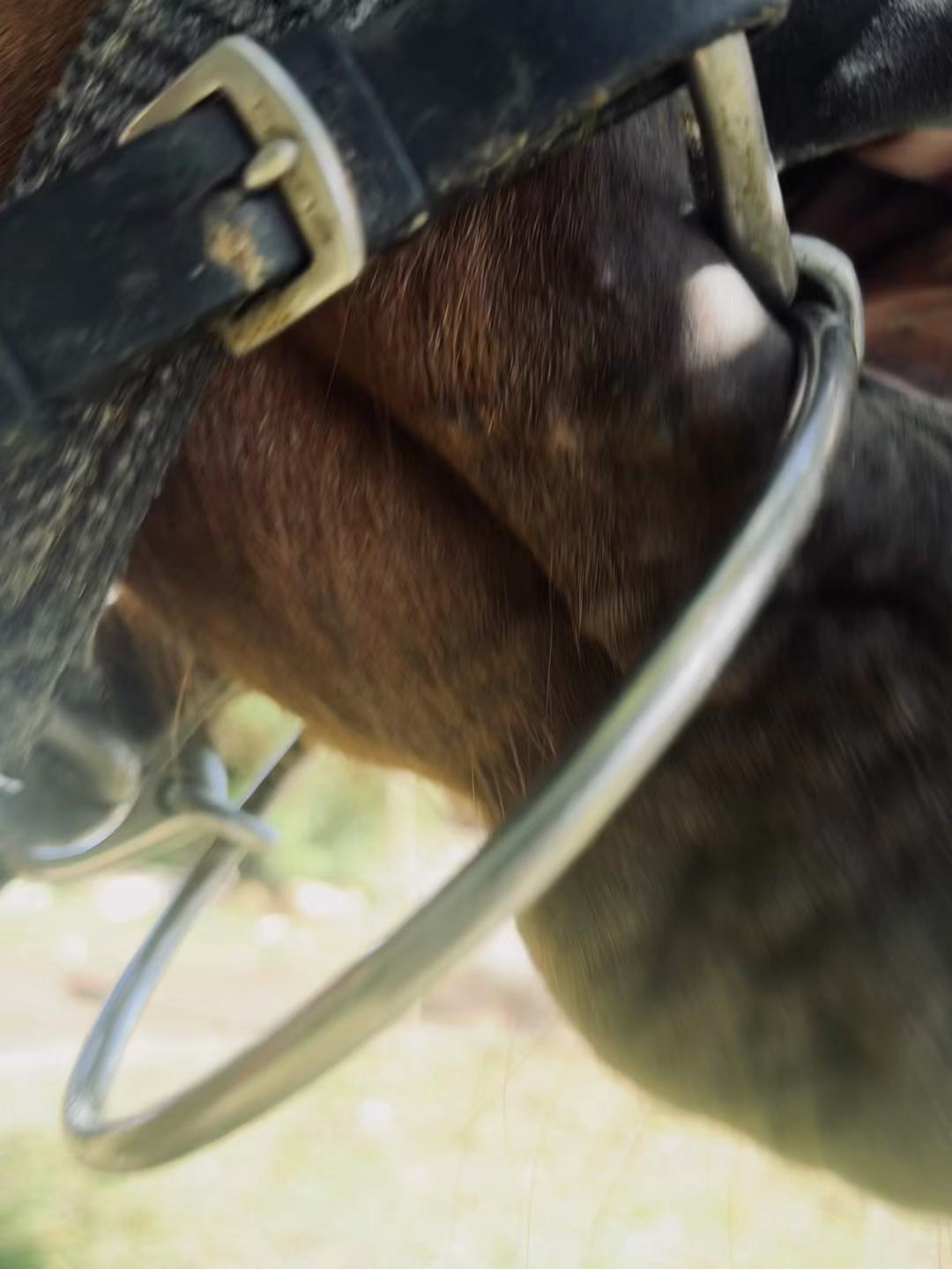 @𝔅𝔞𝔡𝔟𝔬𝔶 𝔬𝔣𝔣𝔦𝔠𝔦𝔞𝔩