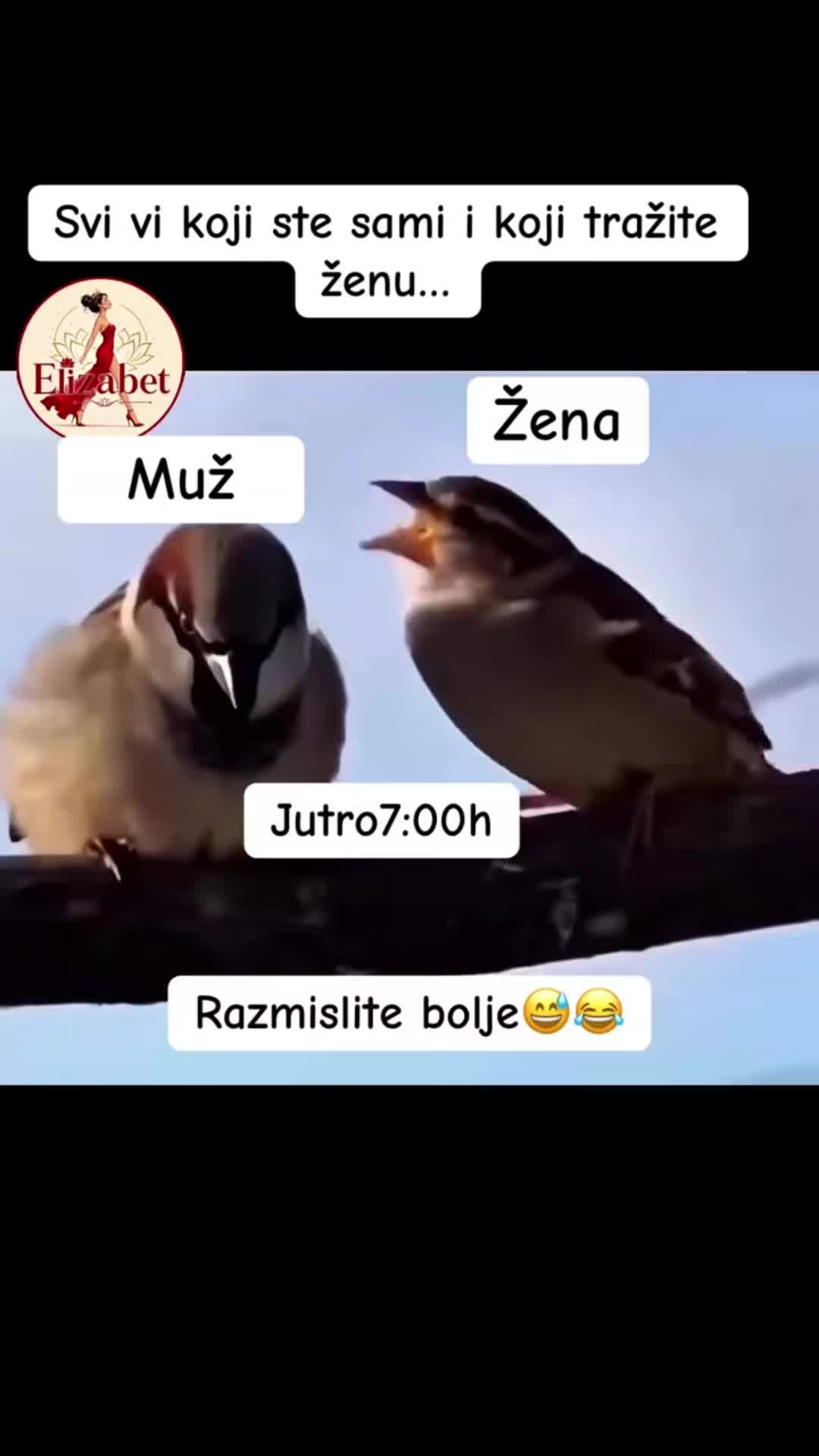 @Elvedin14