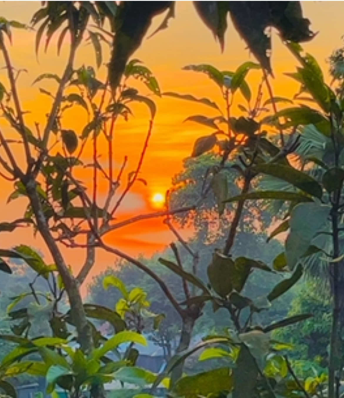 @প্রাকৃতিক 🌿