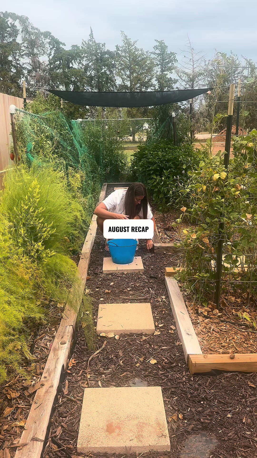 @Amy in West TX