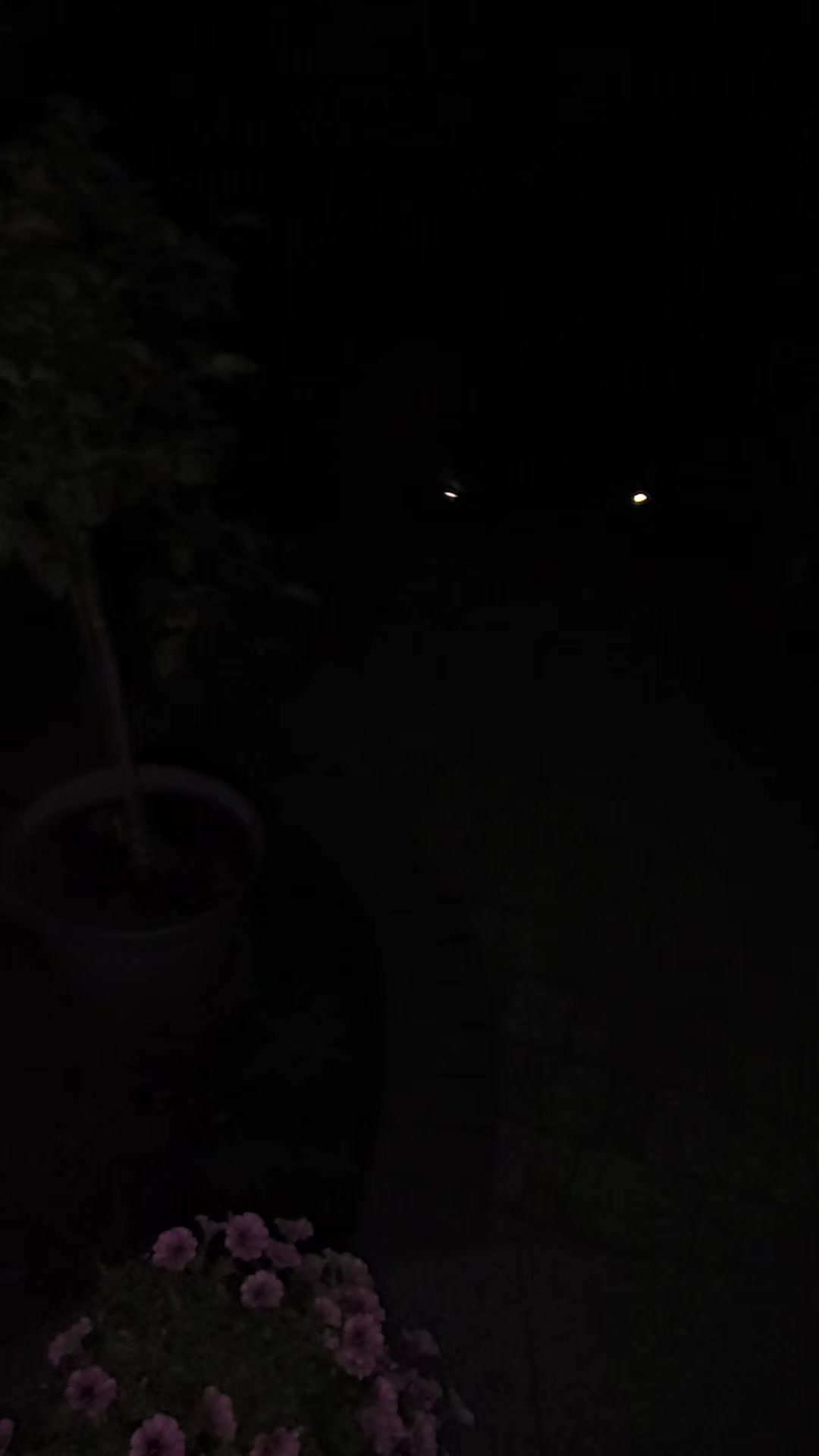 @Raccoon Drive Thru