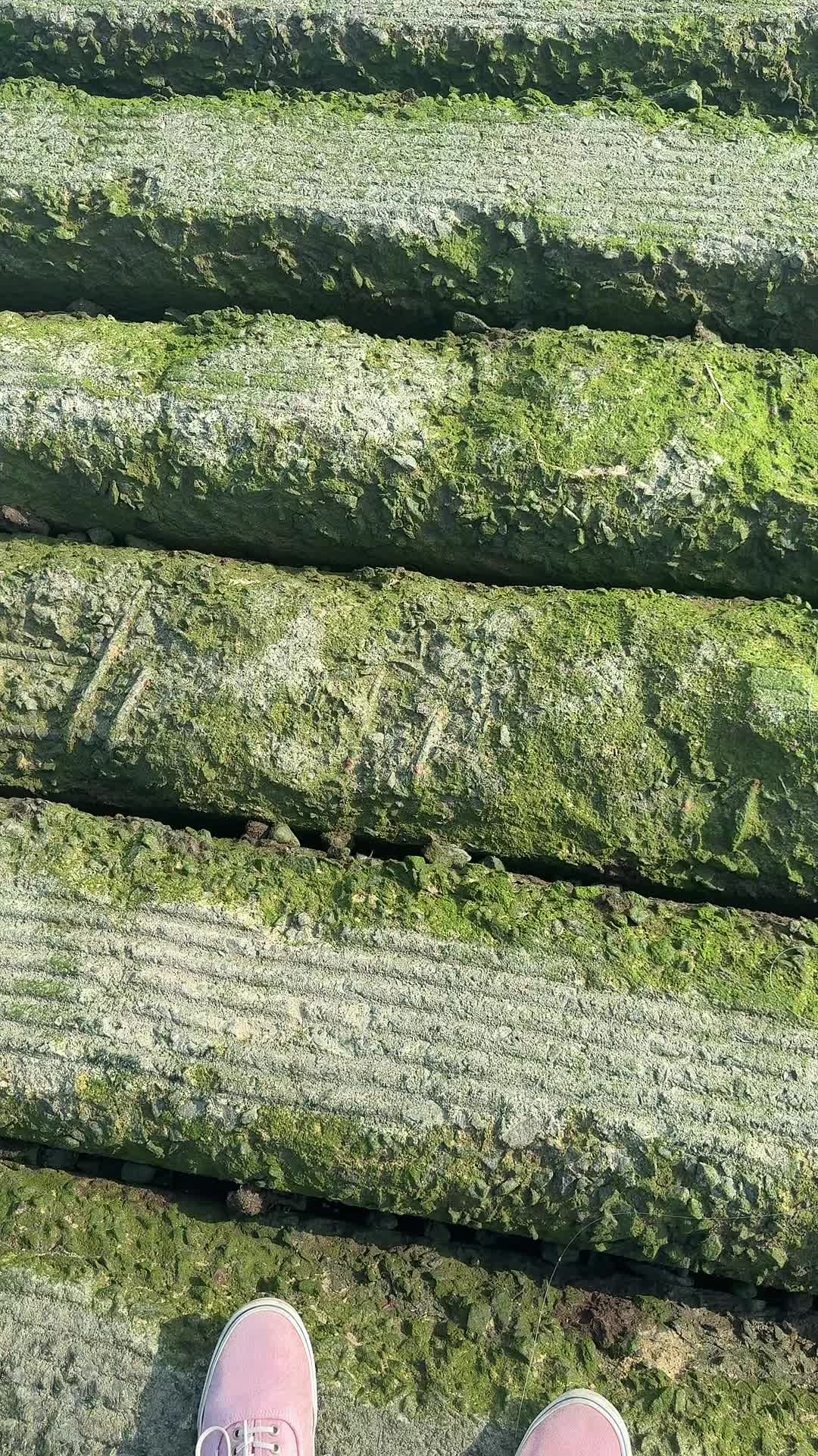 @ST&Auml;T 🐸