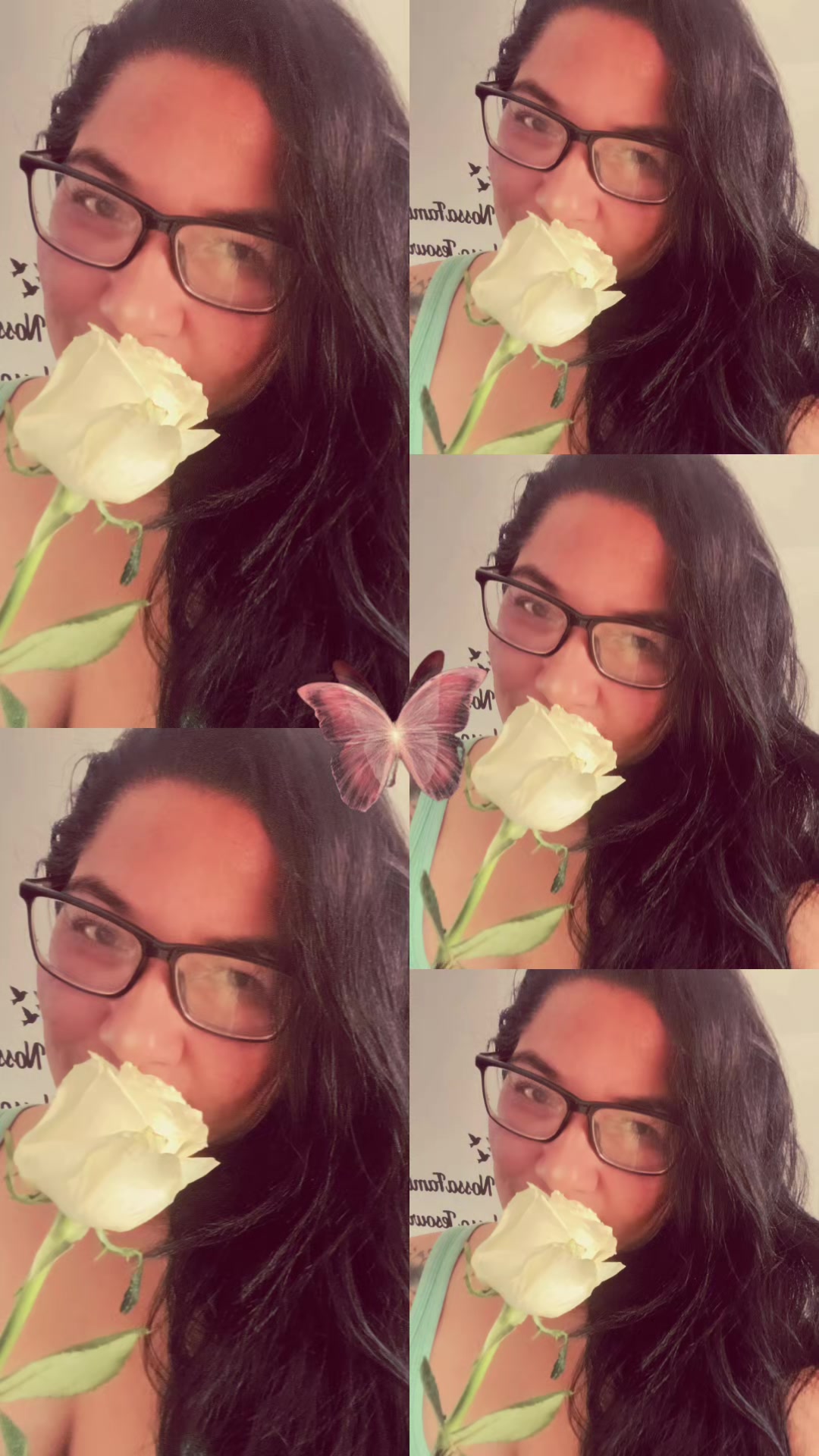 @Meire Souza537