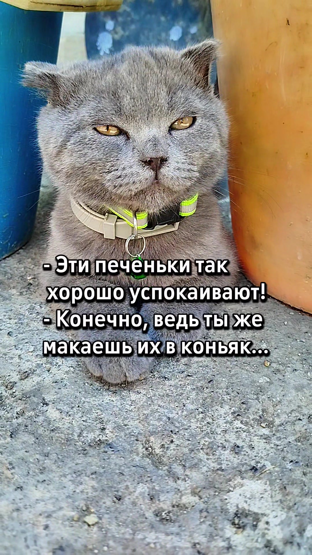 @😻Риччи&Джесси🐈Масик👼&Андрей