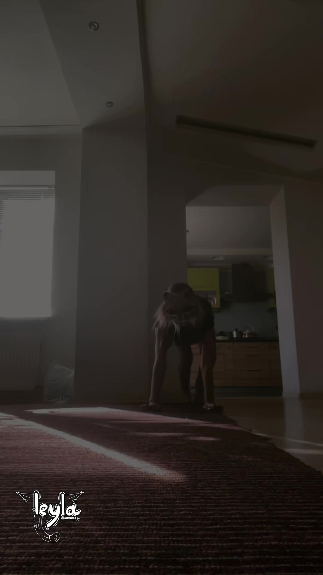 @ʟᴇʏʟᴀ|꩜🐾