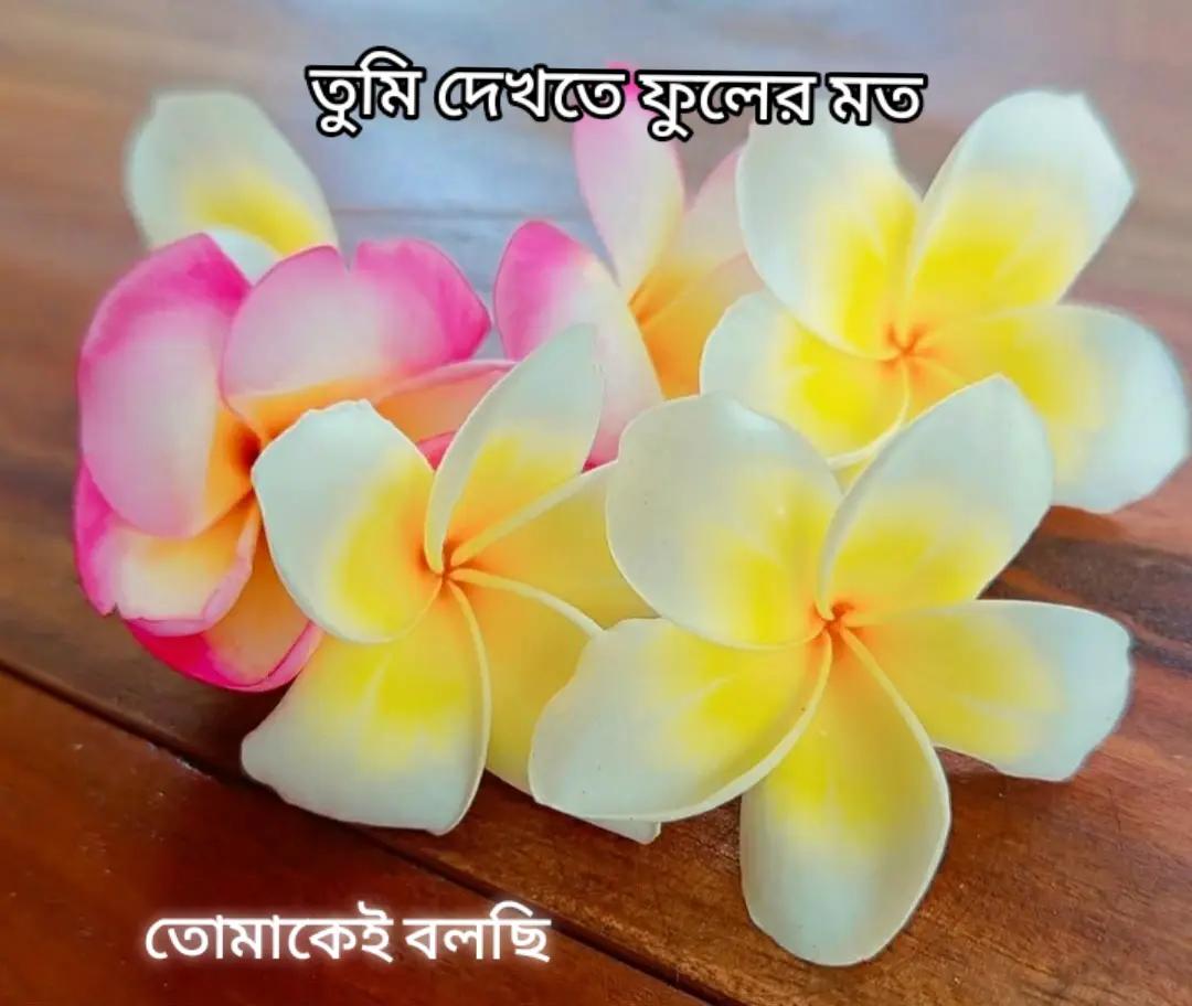 @⚔️MD.AHSHAN HABIB⚔️⚡💂