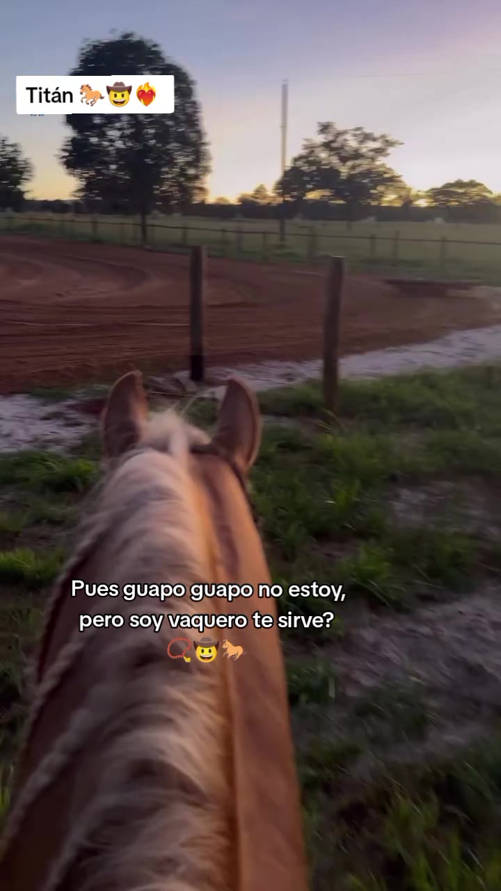 @Robin🐄🐄🤠🤠🐎🐎🇬🇹🇬🇹