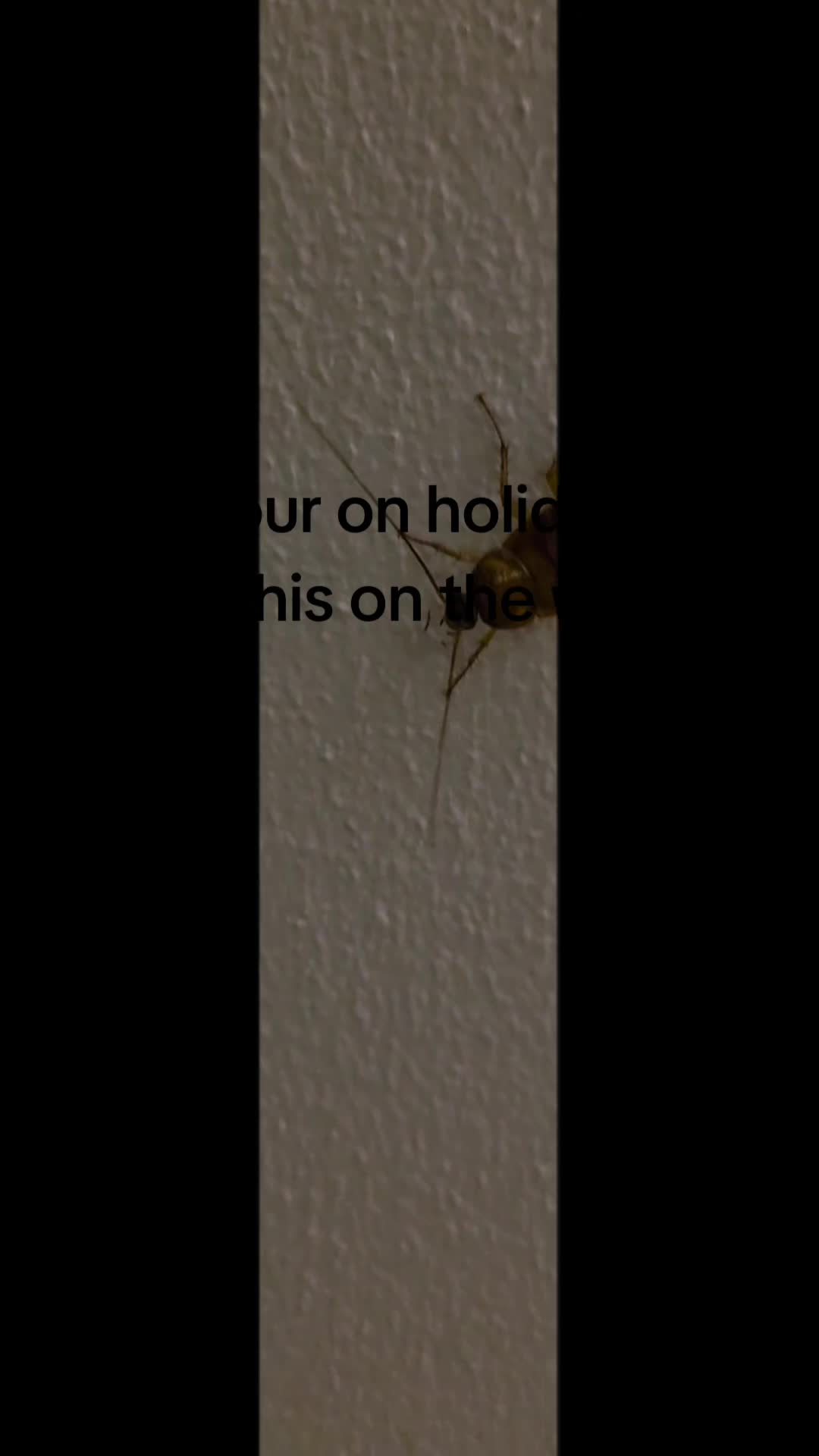 @🥸
