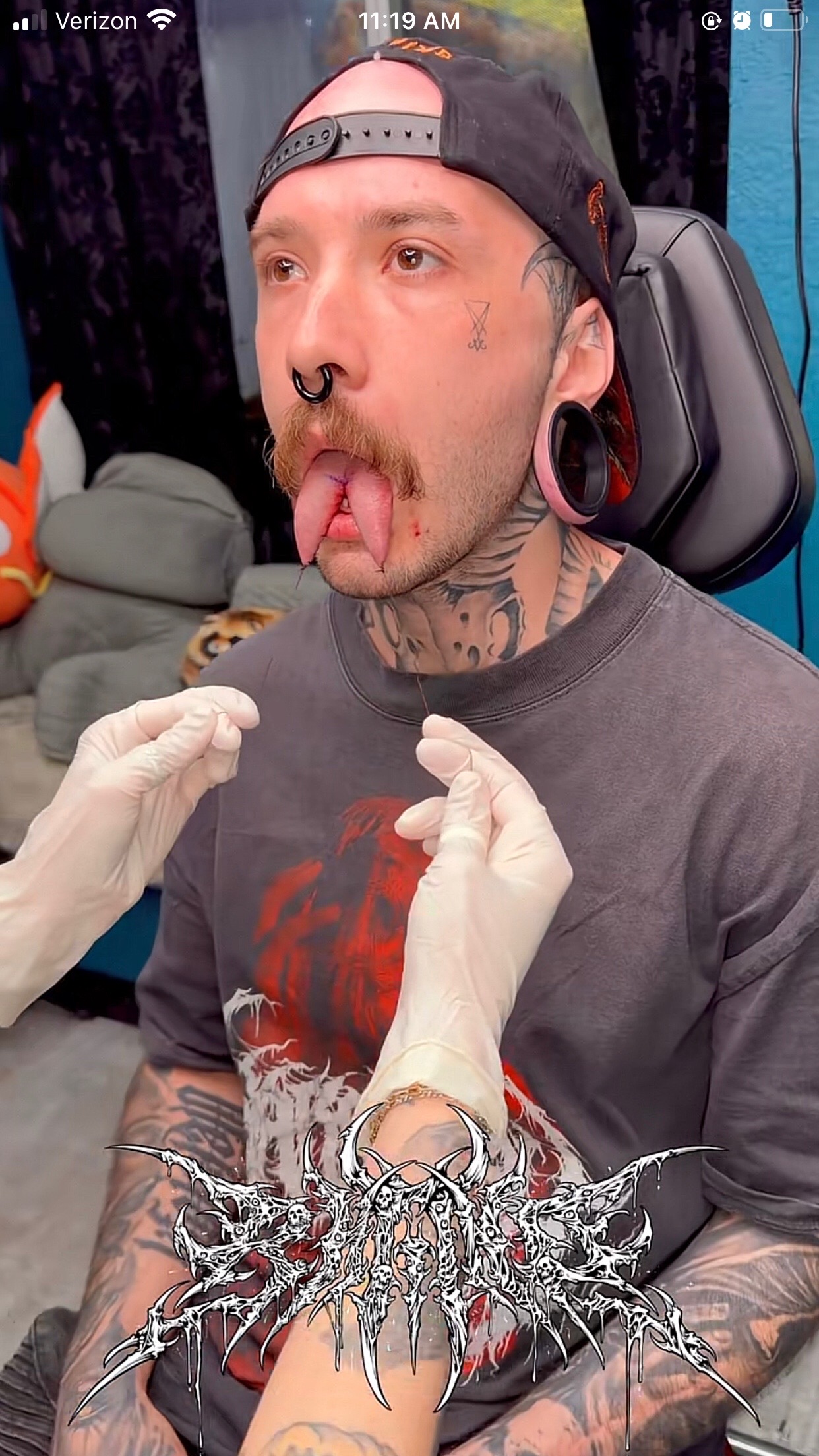 @Brassturtle