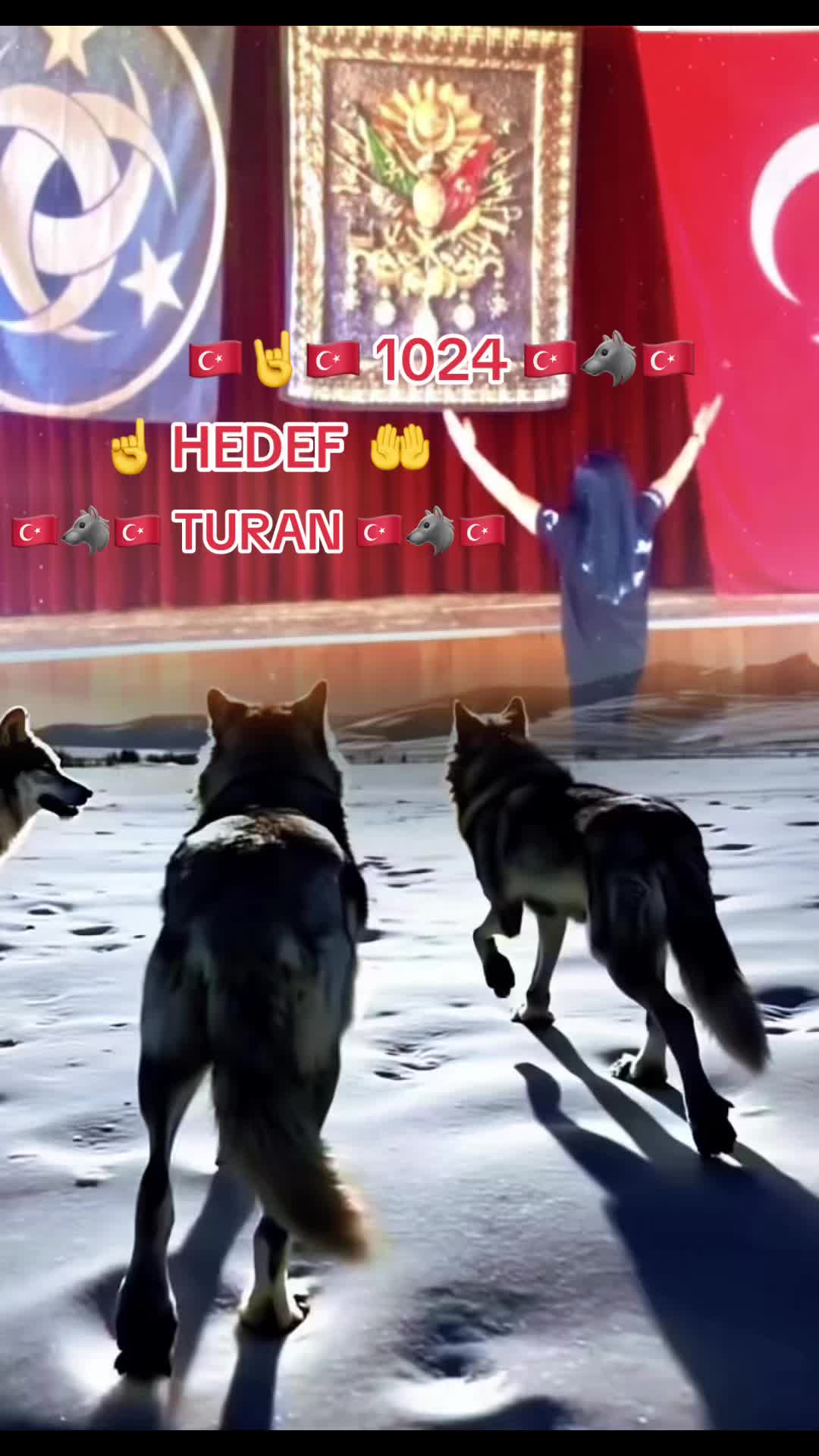 @🇹🇷1453🐺🇹🇷Stgt🇹🇷50🇹🇷