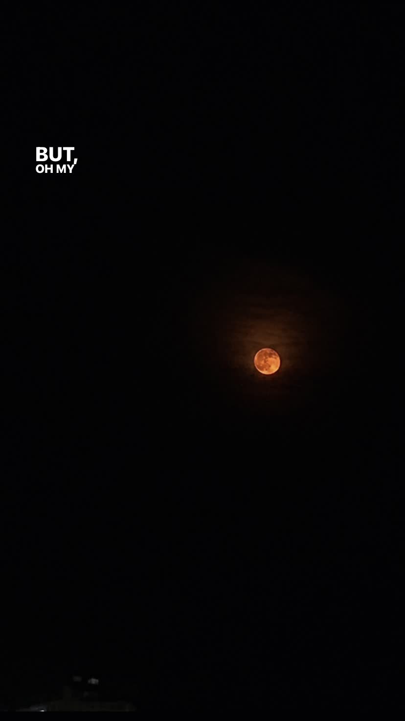 @ᴊᴏʜɴ🐼