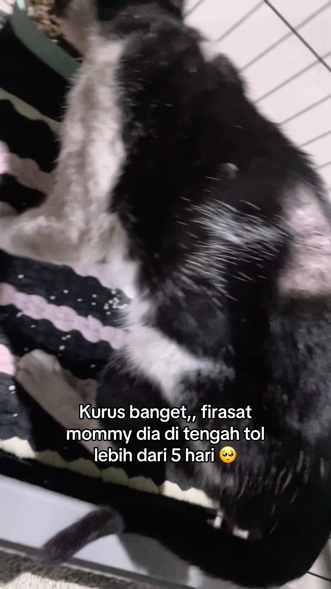 @Mommy, Eyon & Oyenz