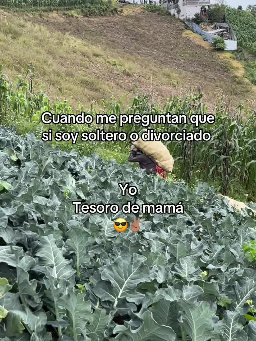 @Henry 🫡🤠