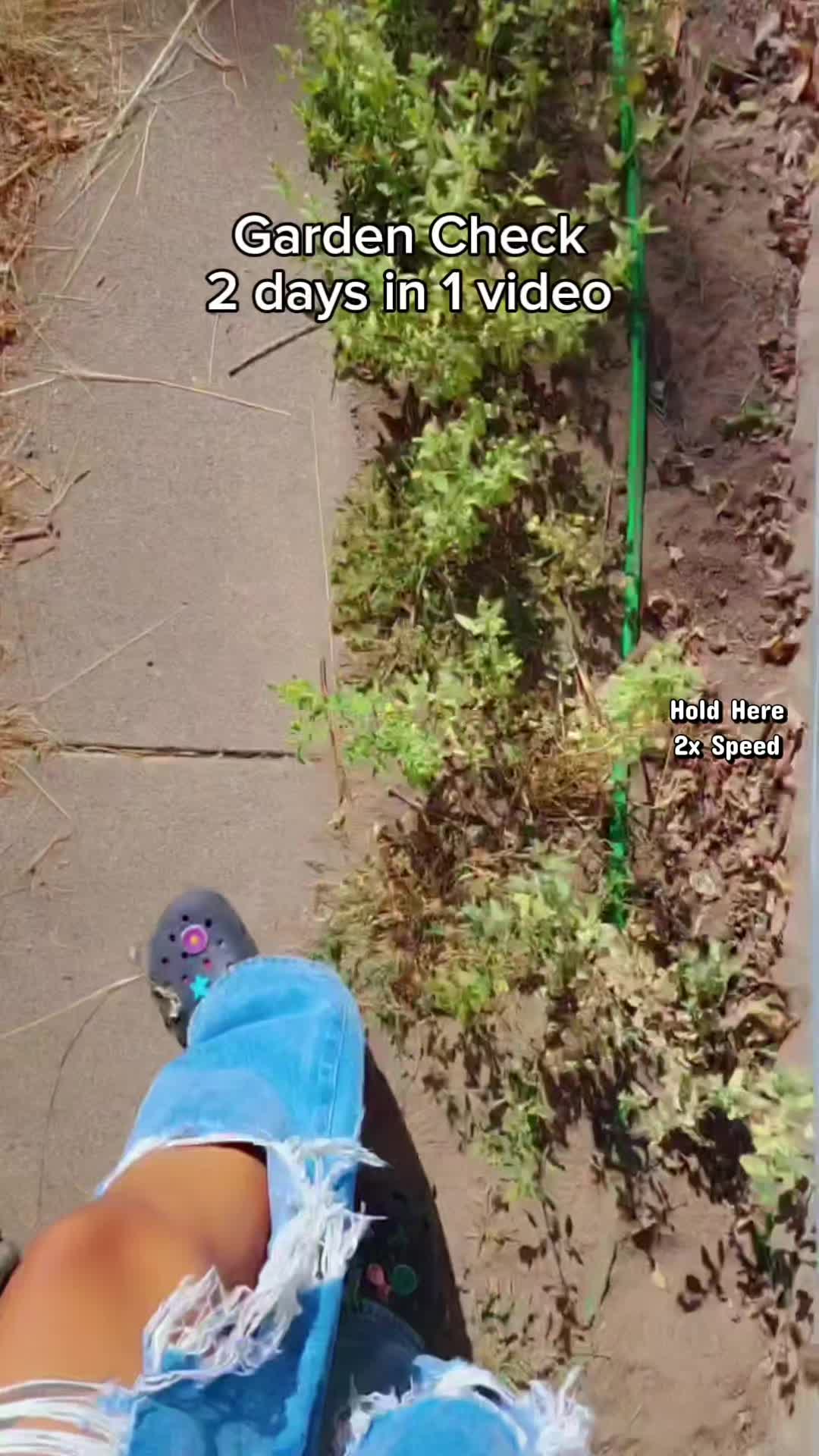 @Alicia ✨️🌱🐛