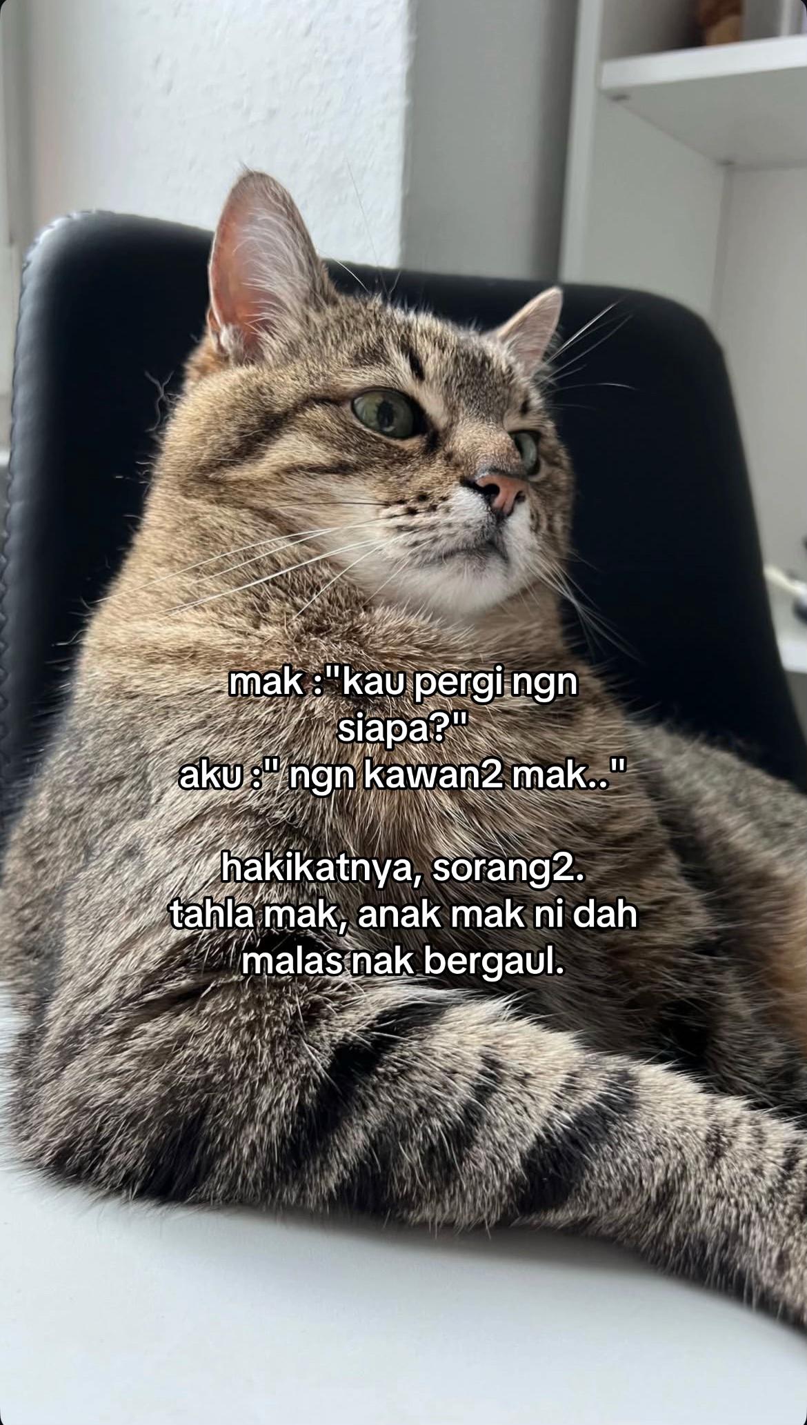 @ngeong prot prot