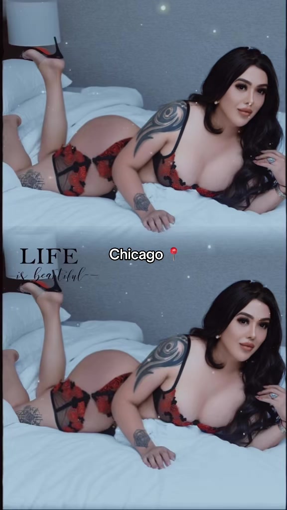 @abejareinaOficial👑